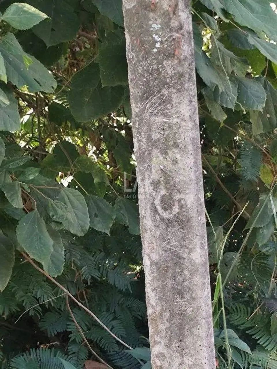 Lote em Condomínio à venda, Veredas das Geraes - Nova Lima/MG - Foto 12