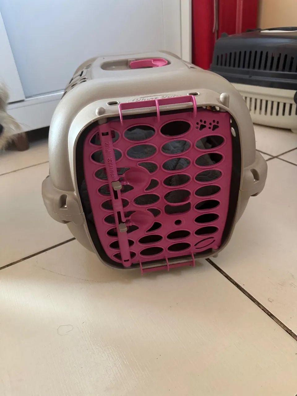 Caixa transporte pet - Foto 6