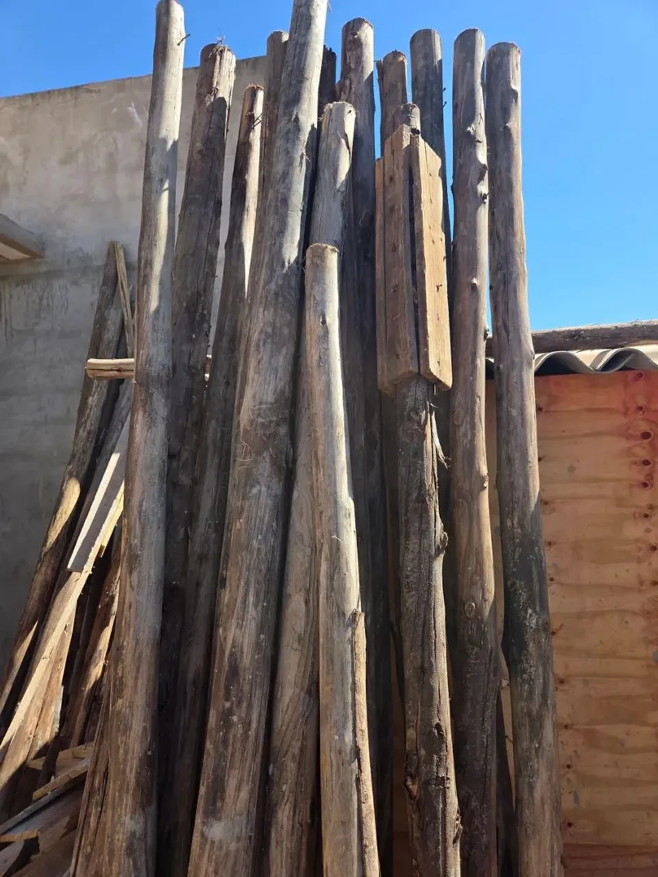 Vendo pau de escora para construção