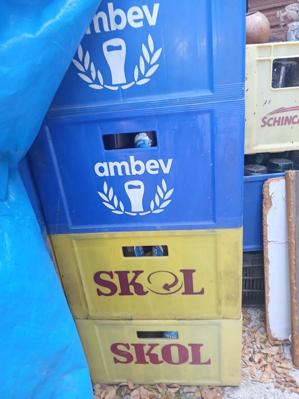 Caixas de cervejas 600