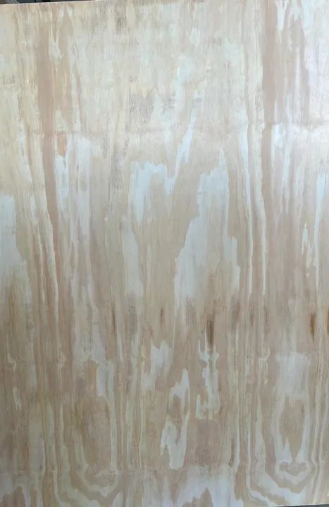 Compensado Pinus - Foto 4