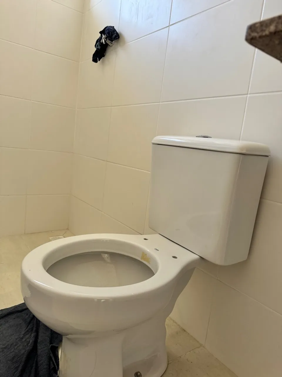 Vaso Sanitário em Cerâmica - Conforto e Qualidade