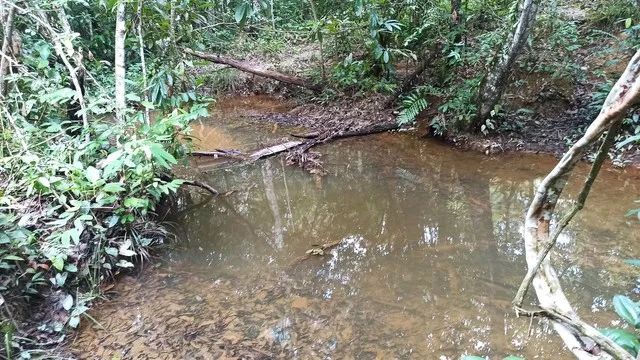 Fazenda escriturada GEO e CAR com 310 hectares terra cultura próximo rodovia - Foto 2