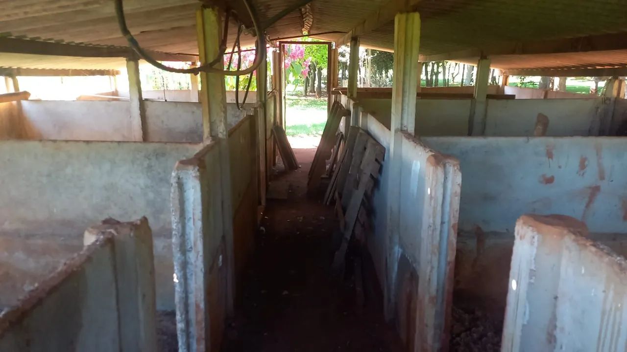 3 alqueires em Itaberaí  - Foto 3