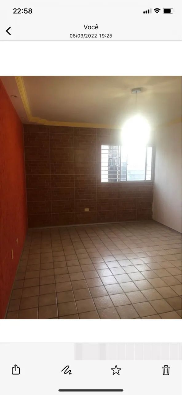 Foto - Paulista - Janga