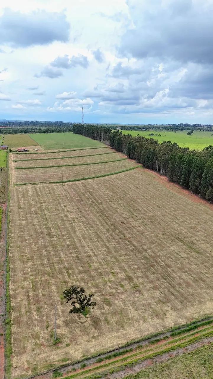 Chácara de 13 Hectares saída para Rochedinho! - Foto 3