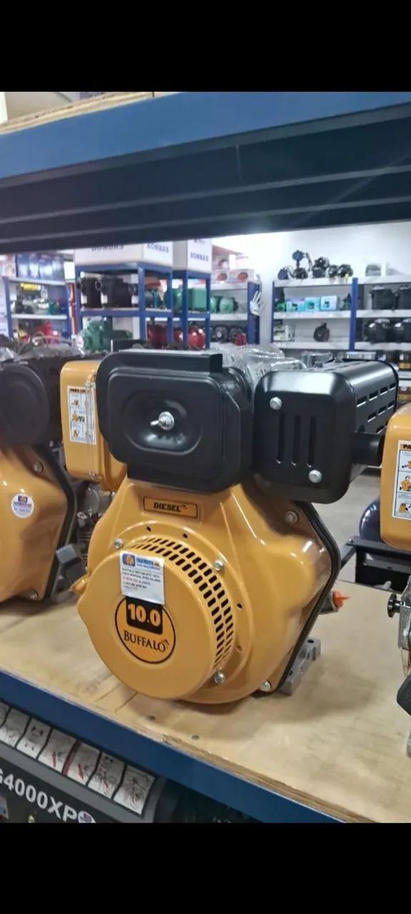 MOTOR A DIESEL 10CV P.MANUAL BUFFALO - Foto 2
