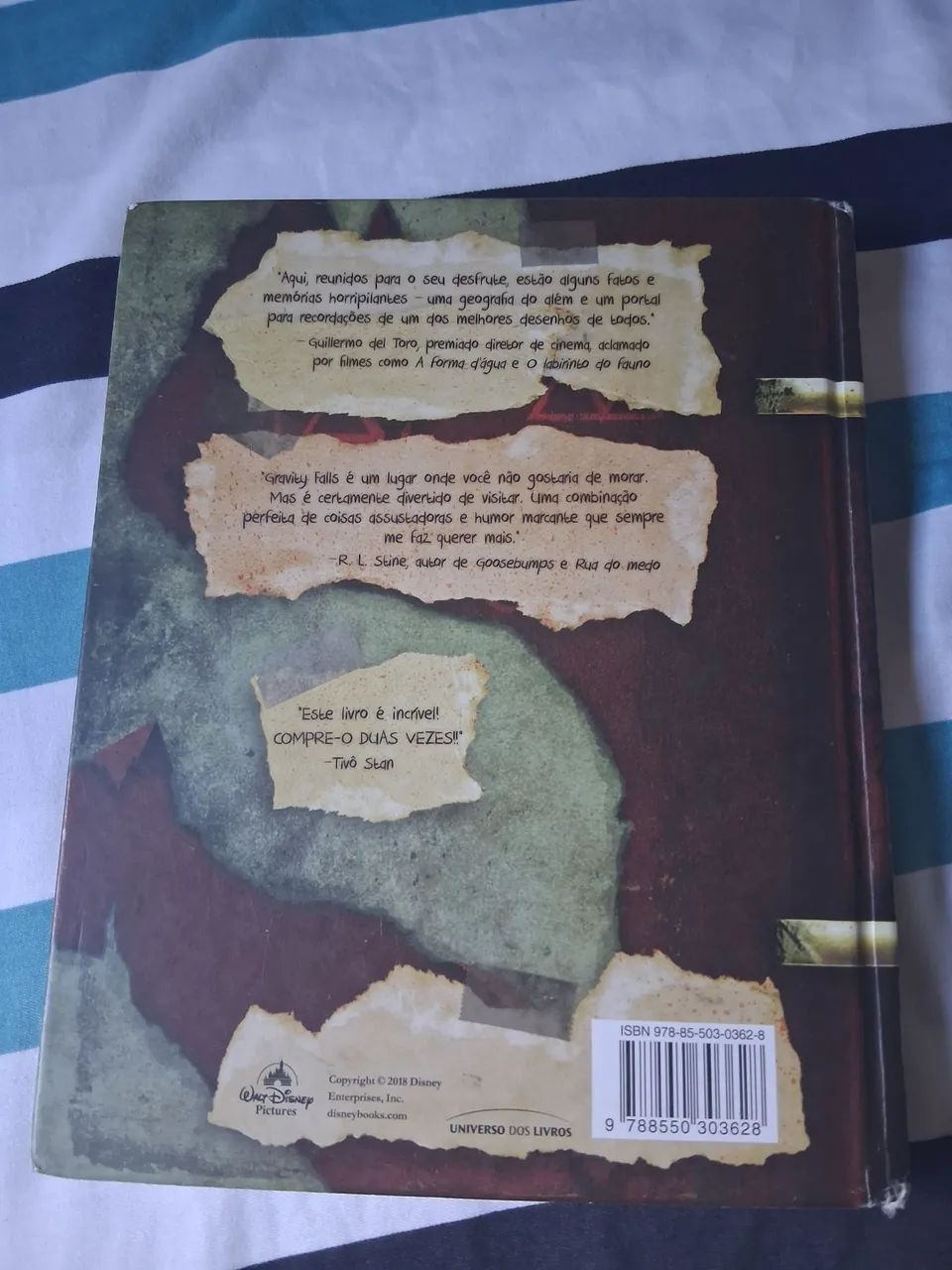 Gravity Falls o Diário Perdido - Foto 2