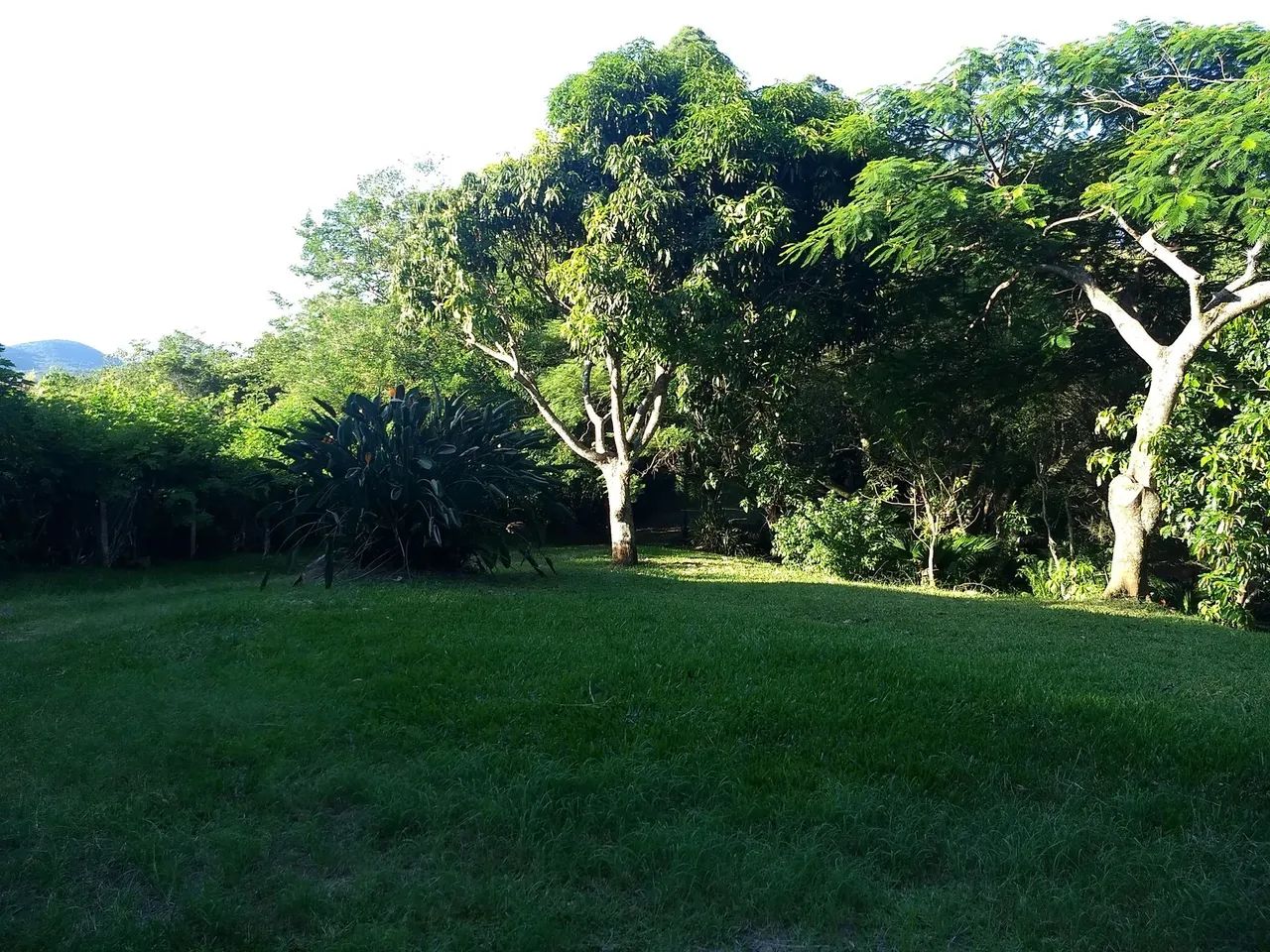 CASA RESIDENCIAL em FLORIANÓPOLIS - SC, SANTO ANTÔNIO DE LISBOA - Foto 3