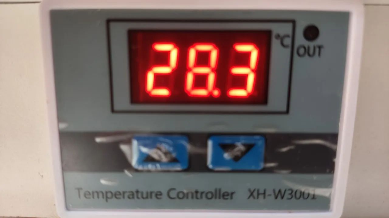 Terrário para Jabuti - Répteis completo com termostato  - Foto 4