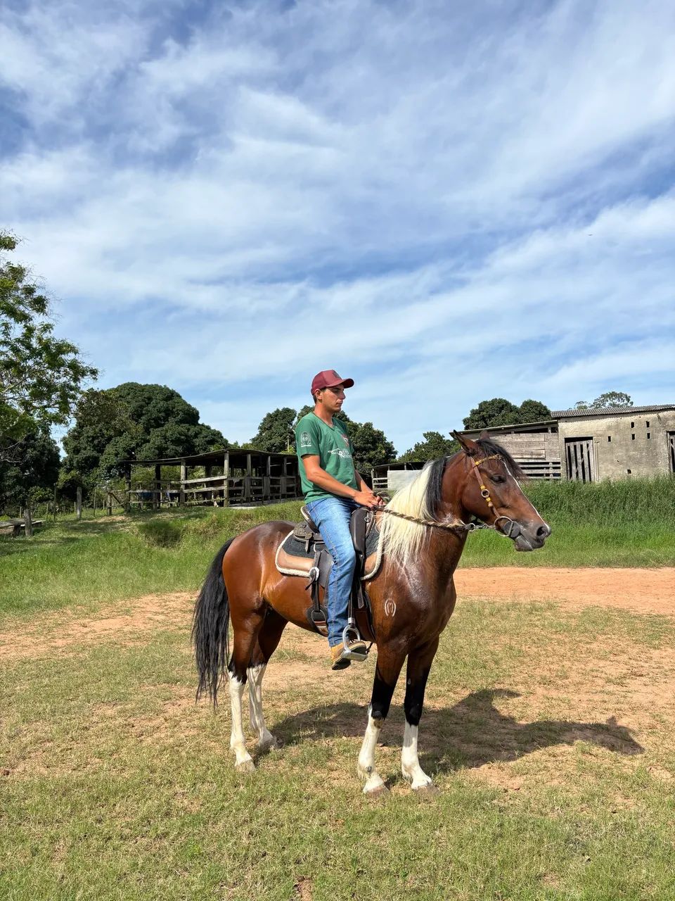 Mangalarga Pampa Puro Registrado Filho do Havaiano Macaé  - Foto 2