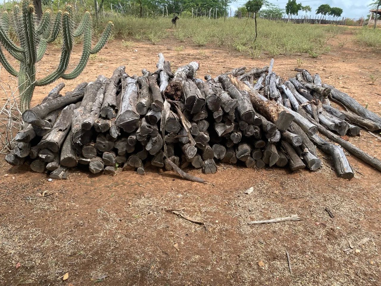 Estacas e mourões de algaroba - Foto 3