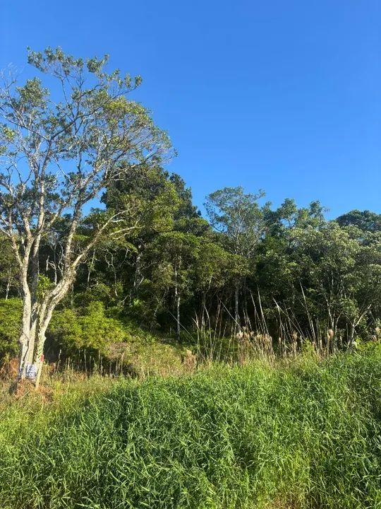 TERRENO À VENDA EM BALNEÁRIO PIÇARRAS - ITACOLOMI | LOCALIZAÇÃO ESTRATÉGICA 300 m² - Foto 4
