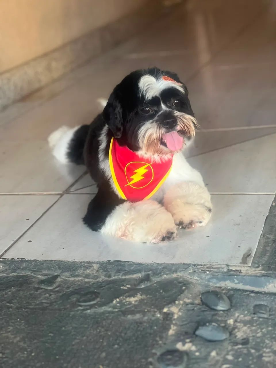 Doação 