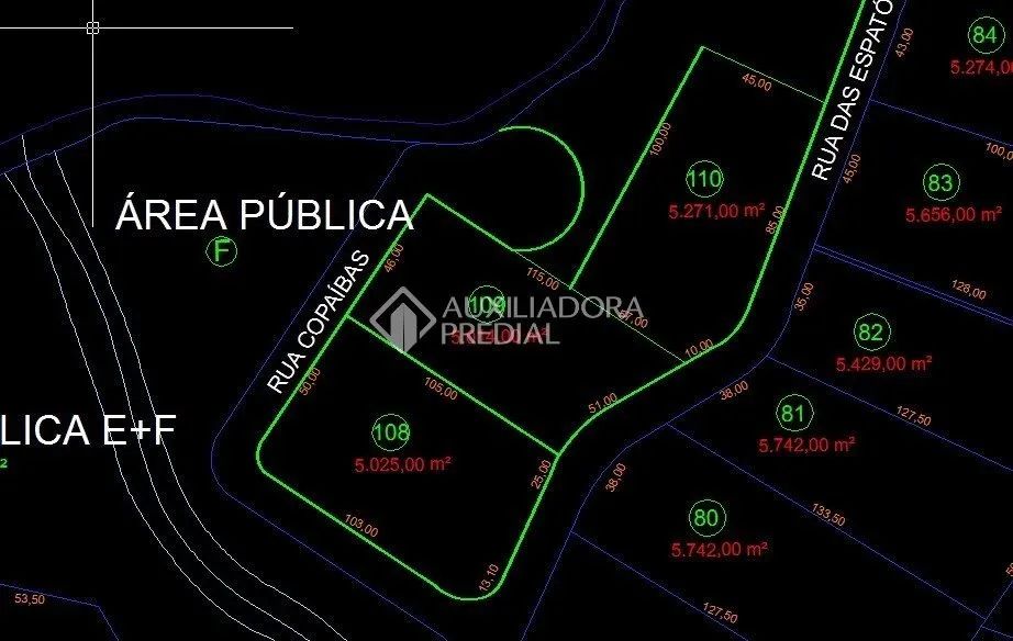 Terreno em Floresta Escura, São Pedro - Foto 3