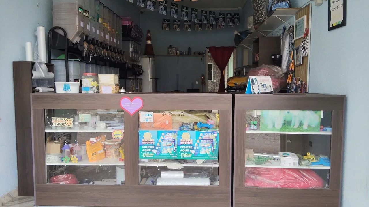 Coisas para pet shop  - Foto 4