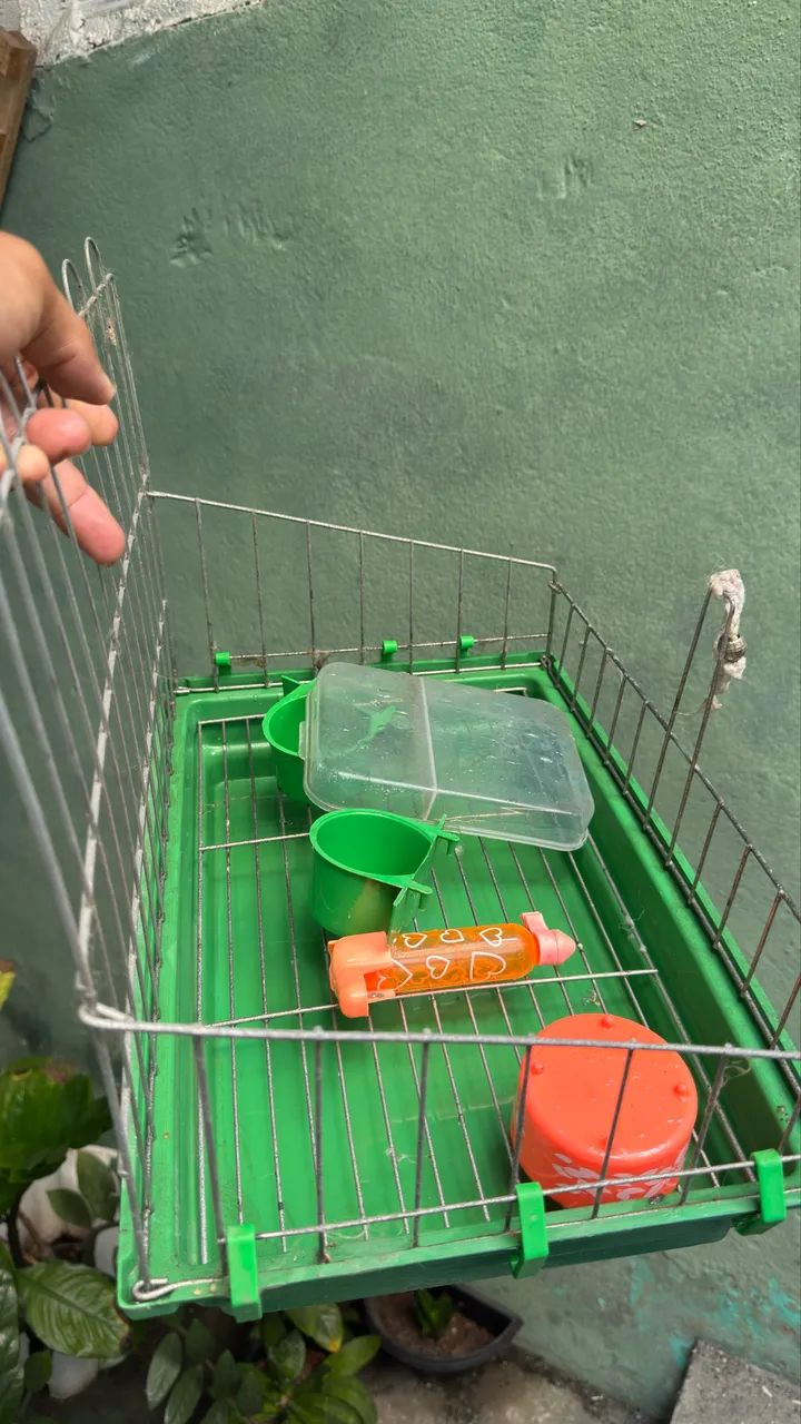 Gaiola/ Poleiro  - Foto 5