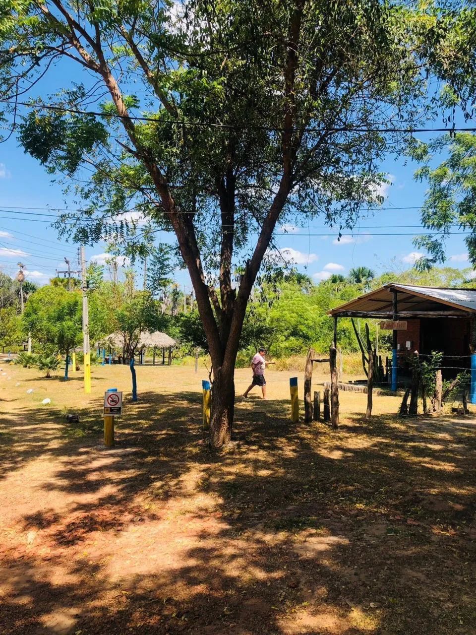 Vila Cajueiro - Lotes à Venda  - Foto 4