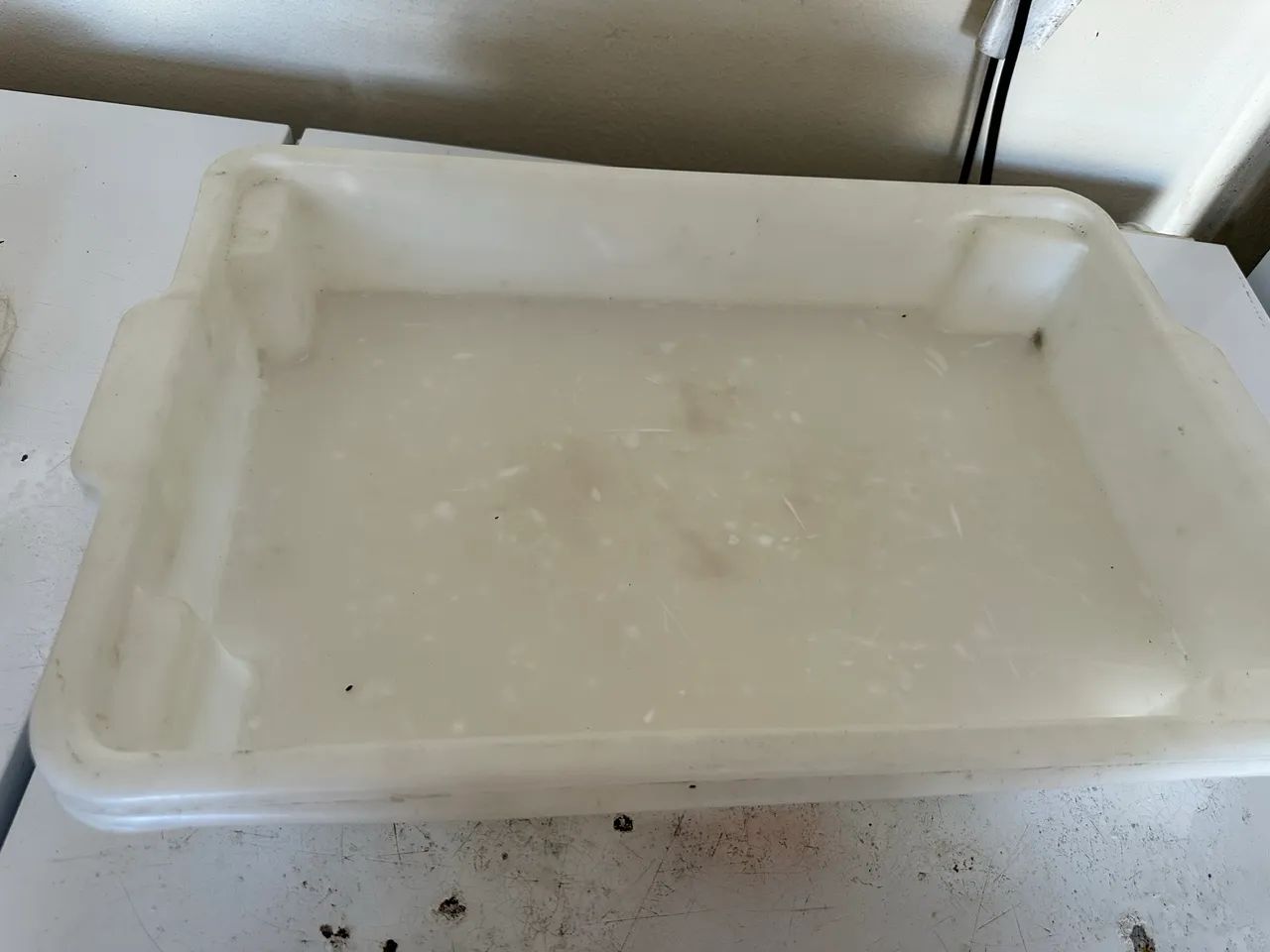 Bandeja para congelamento  - Foto 3