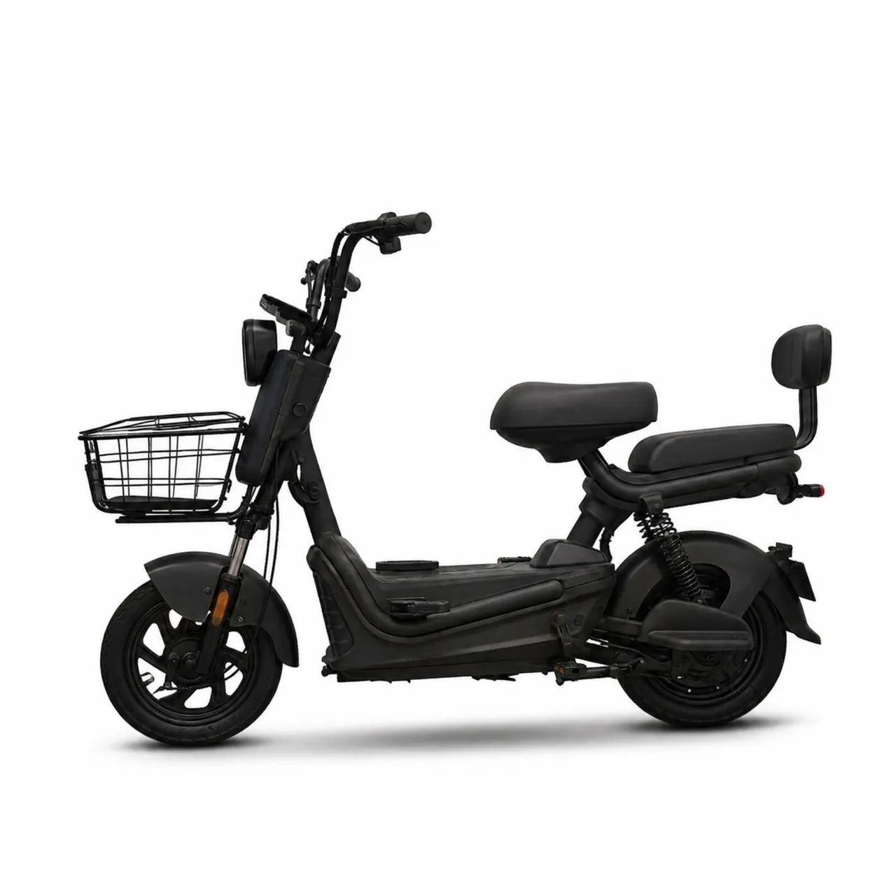 MOTO ELETRICA TAILG 500WTS