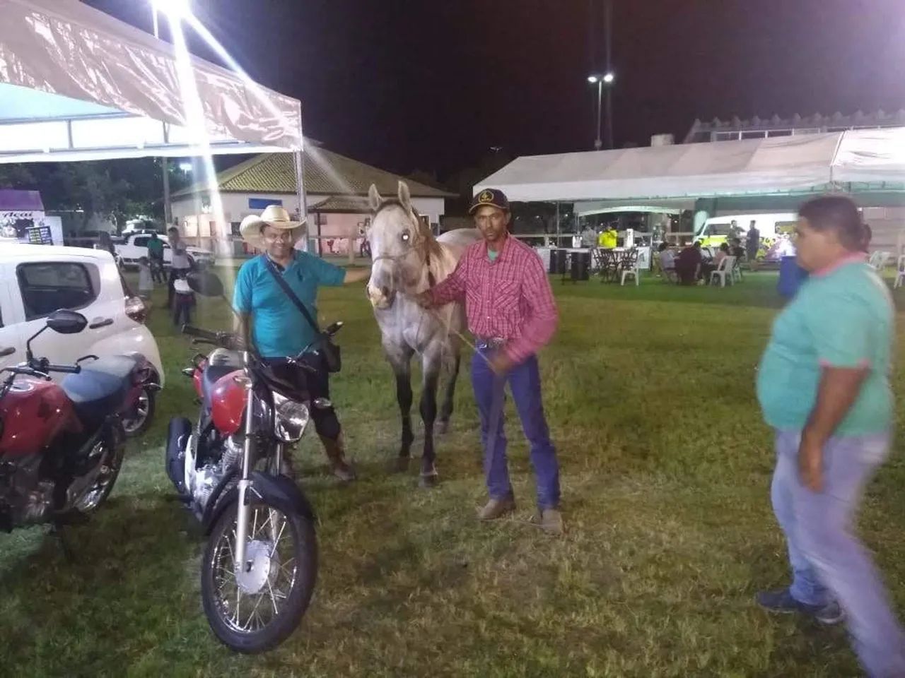 Cavalo quatro de minha  - Foto 4