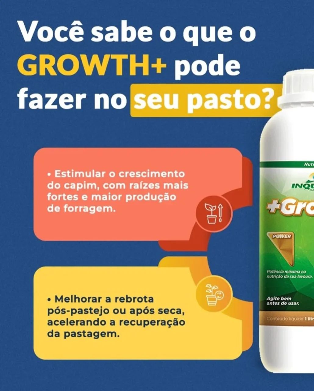 KIT FORRAGEM PARA PASTAGENS - Foto 3