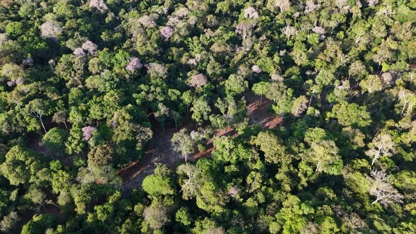 Sítio em Alter do Chão - 36.000 m²  - Foto 2