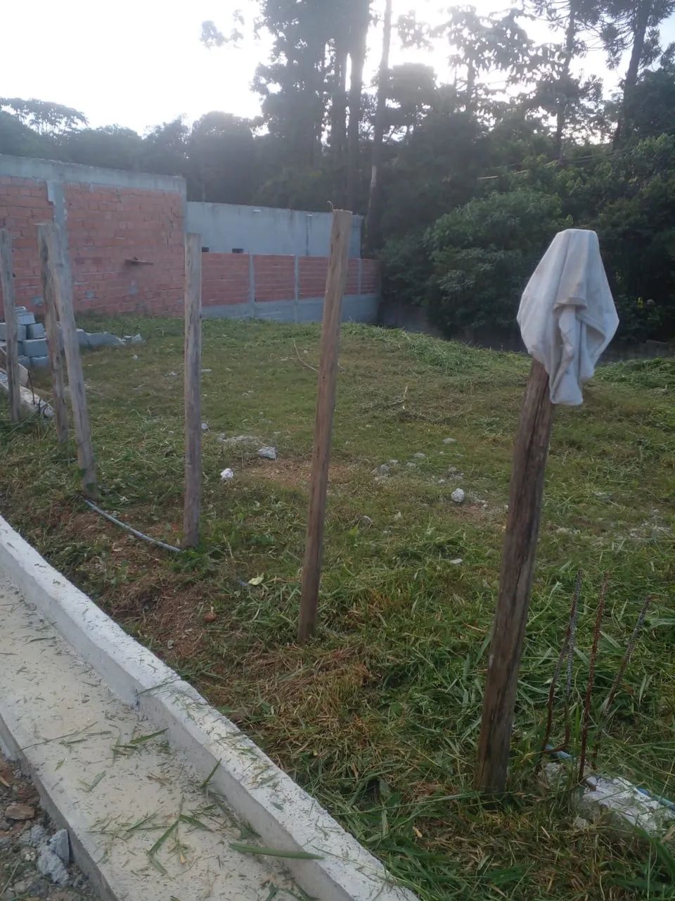 Terreno 12.5 x 22 - Foto 6