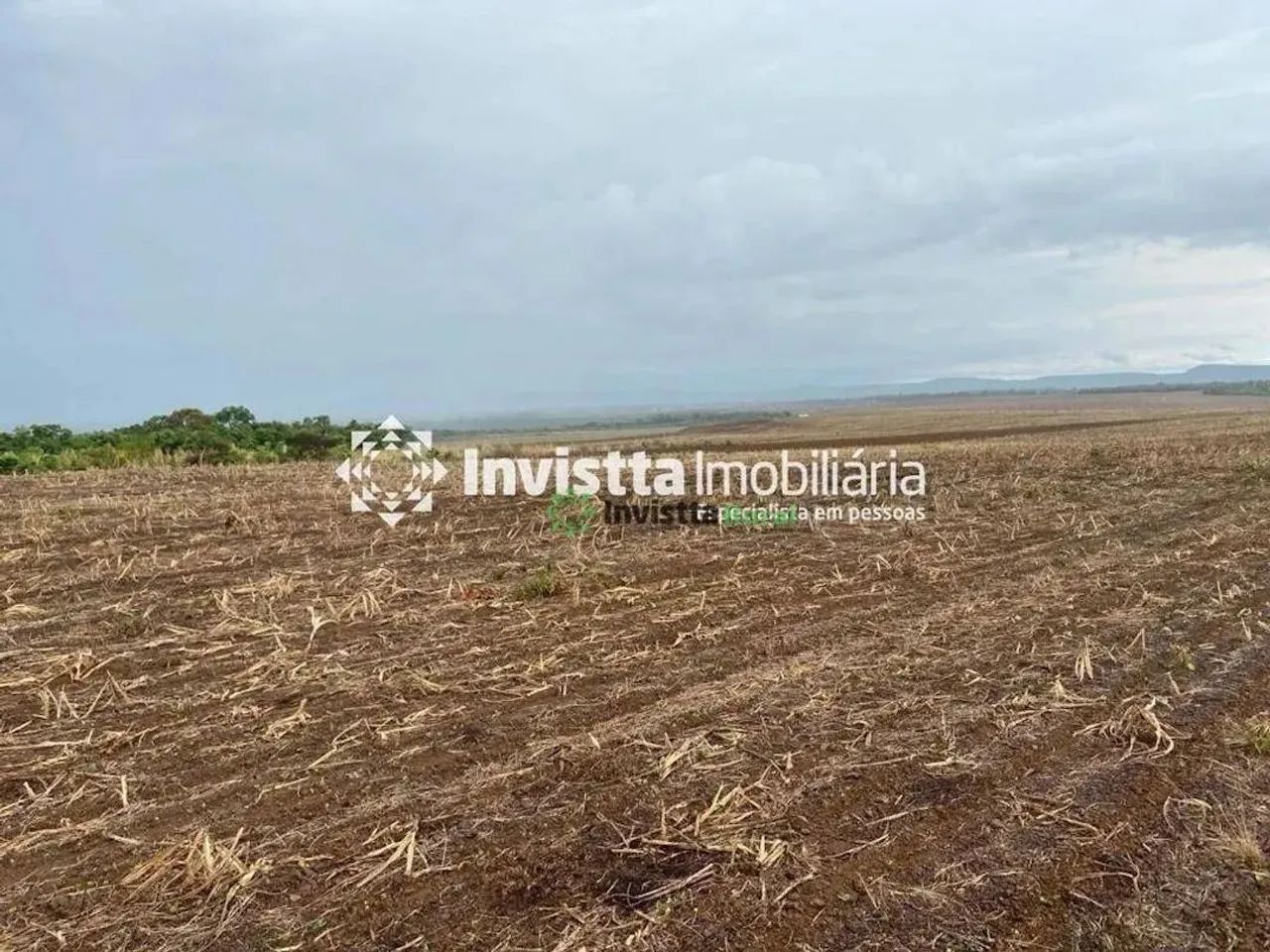 Fazenda Agrícola à Venda na Serra da Lopa  Vale do Araguaia | 705 Hectares Próxima a Paraí - Foto 2