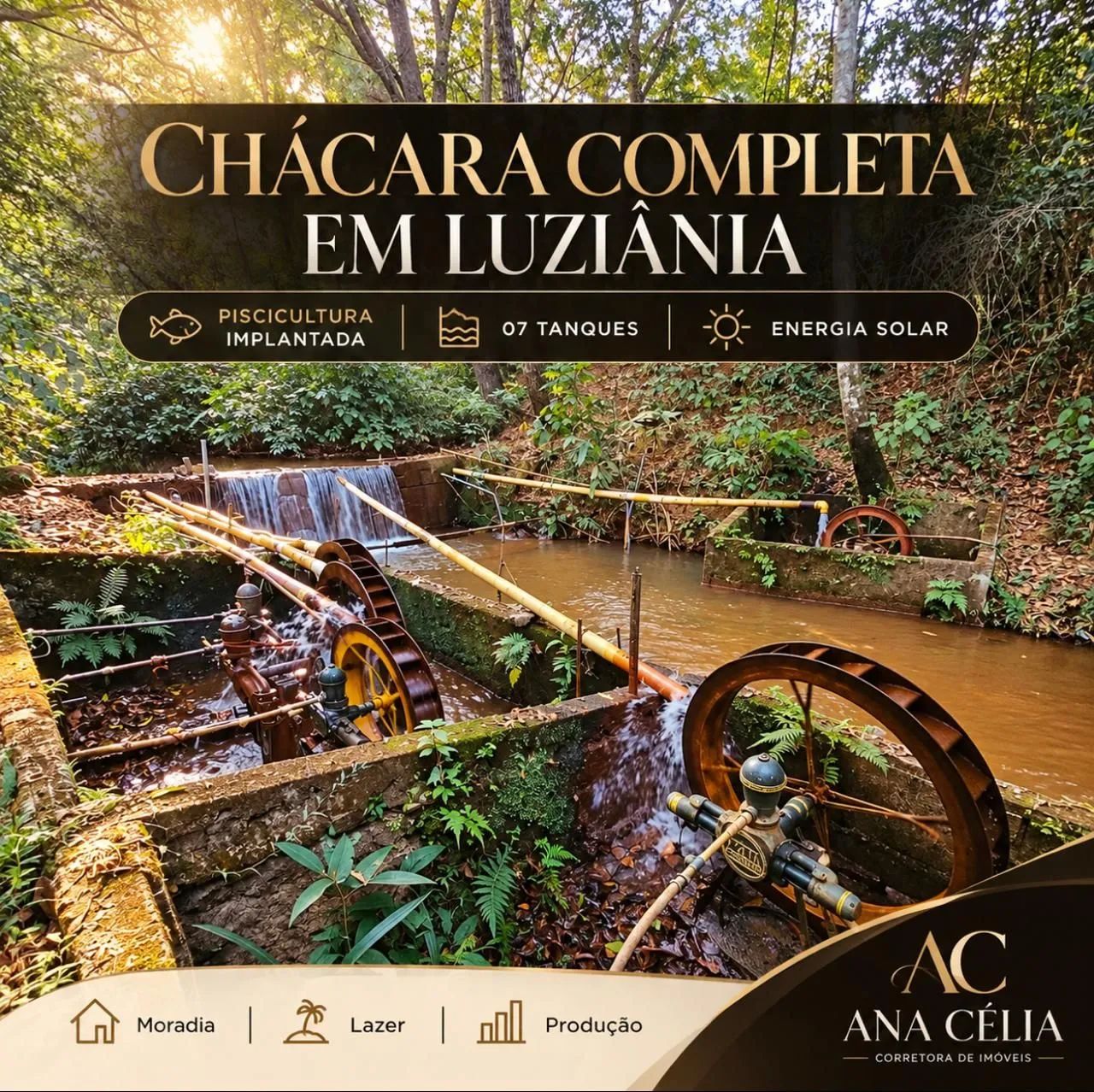 VENDA DE CHÁCARA  LUZIÂNIA  