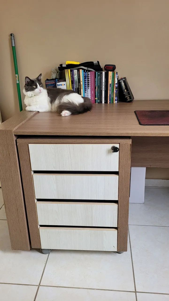 Mesa de escritório de madeira pesada com gaveteiro - Foto 2