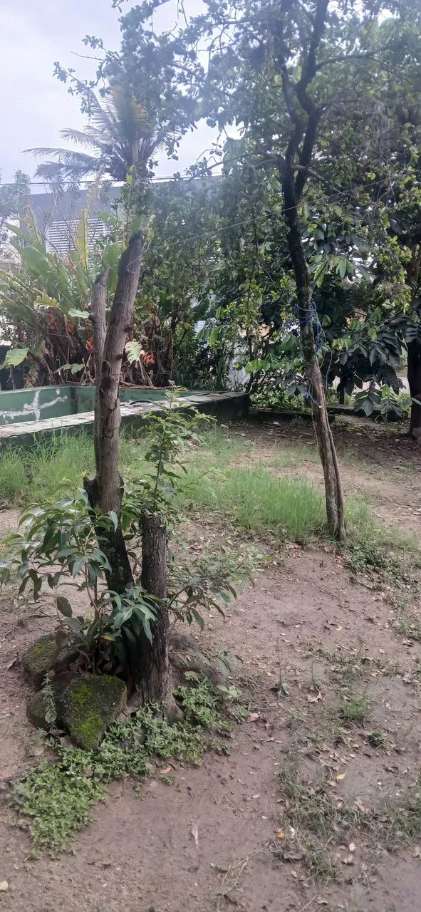 casas e terrenos  - Foto 2