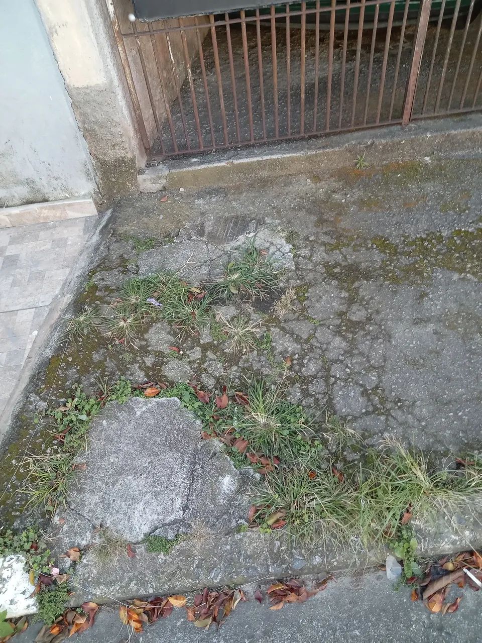 Preciso Serviço (Pedreiro)