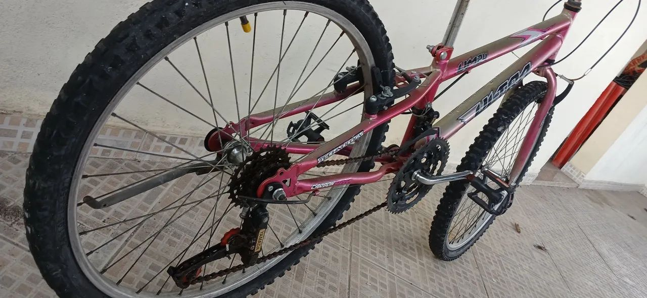 Bicicleta aro 24
