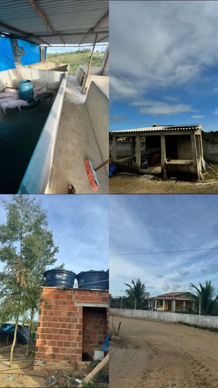 Chácara a venda  - Foto 2