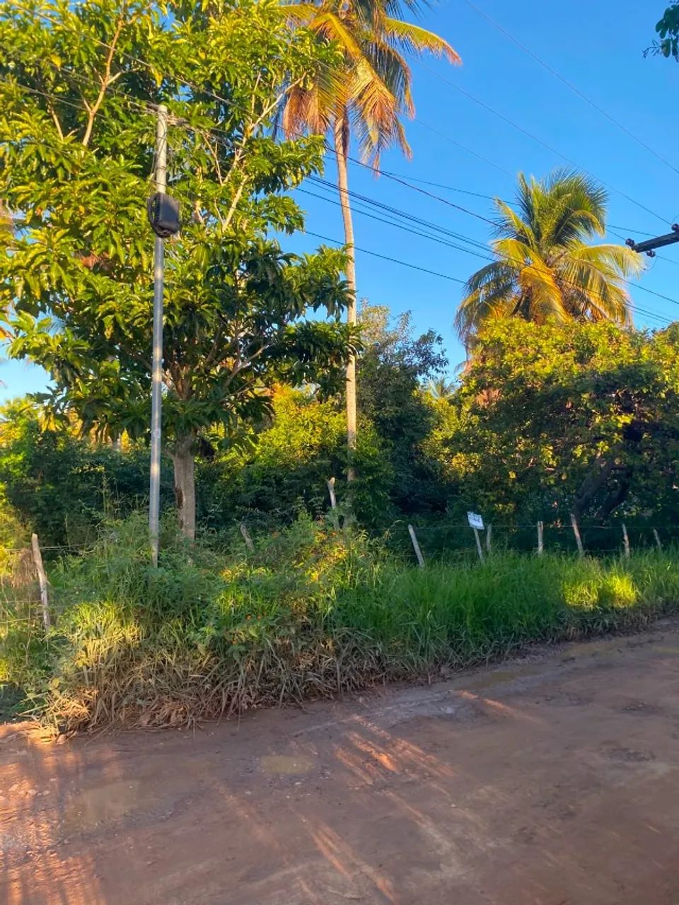 Terreno de 780 metros quadrados. - Foto 4