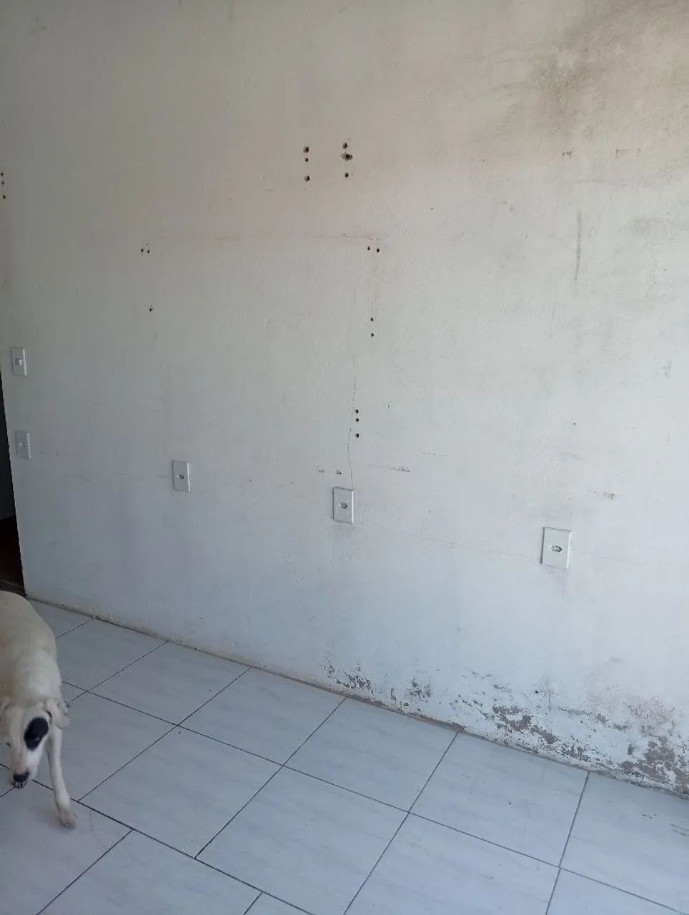 Comodo para Comércio  - Foto 3