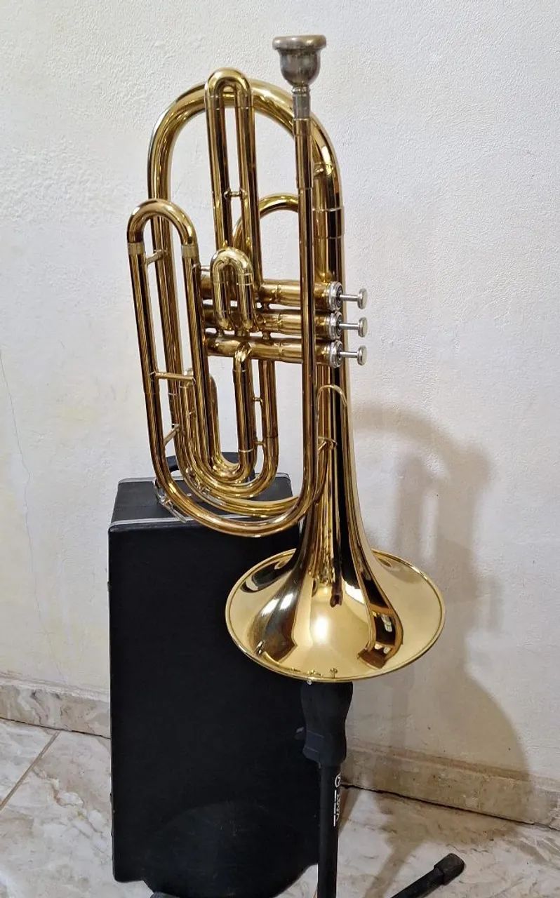 Trombonino Weril em Sib - Foto 5