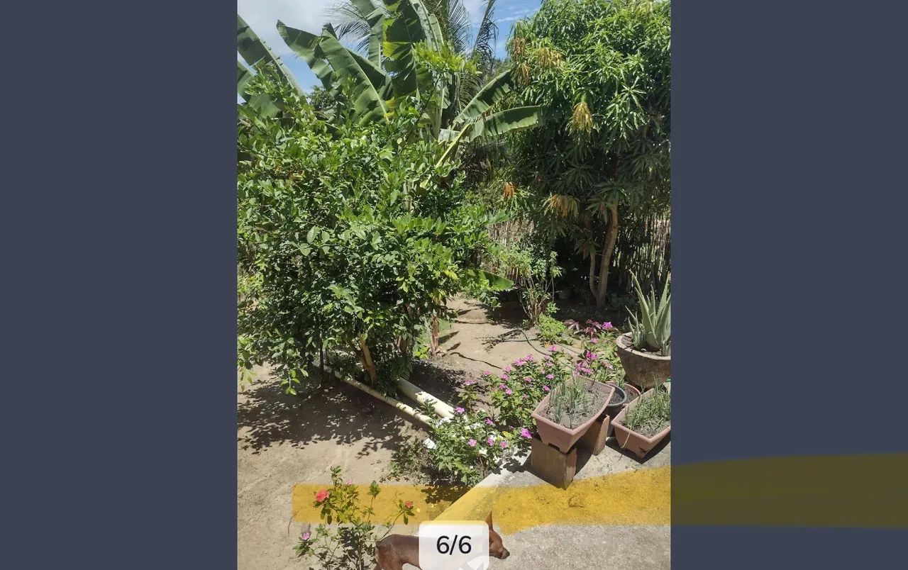Casa A Venda Quitinete  - Foto 4