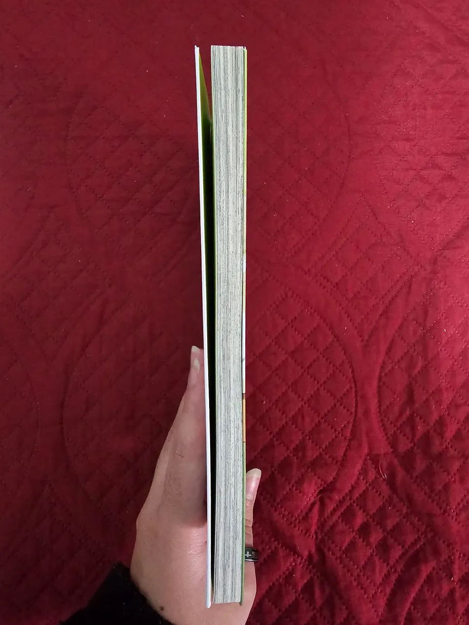 Mangá Look back (volume único) - Foto 4