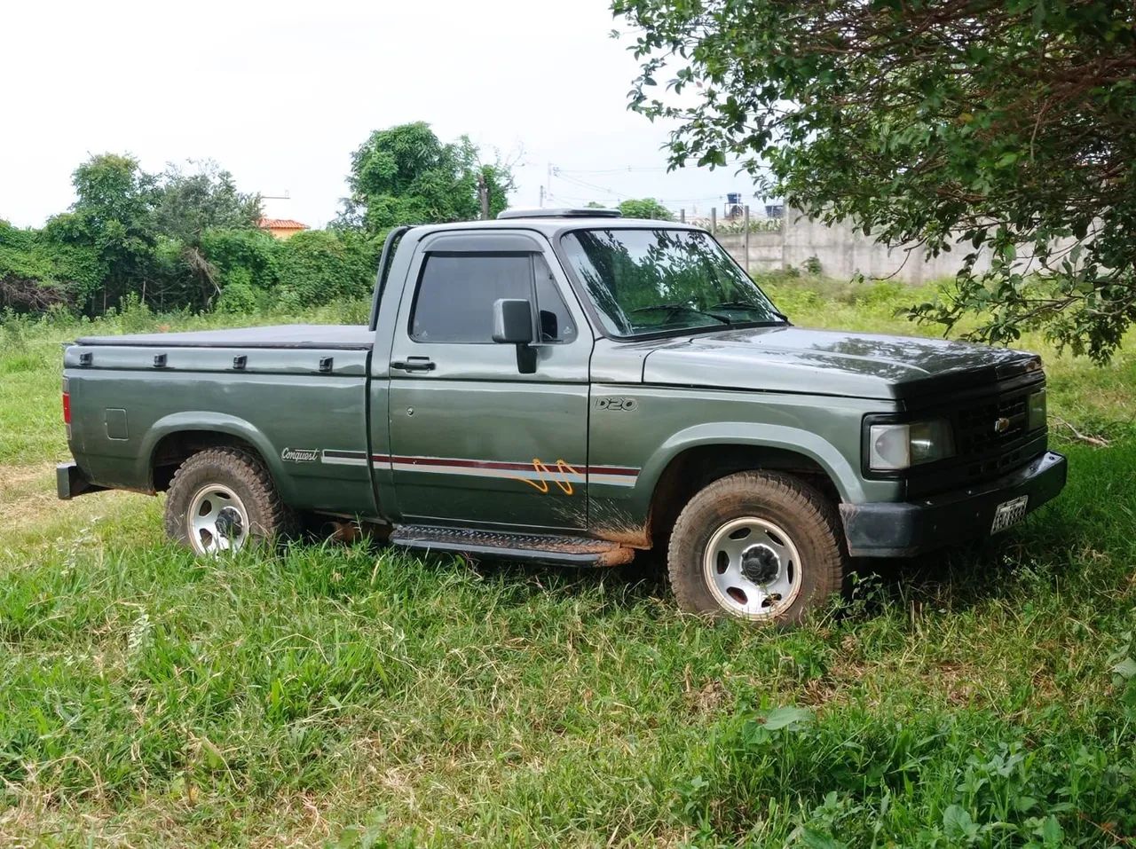 Chevrolet D-20 1996