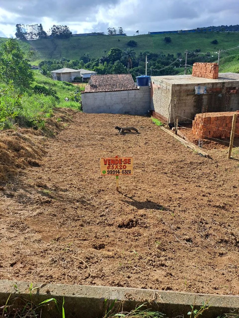 Terreno a venda em Viçosa-Alagoas. - Foto 2