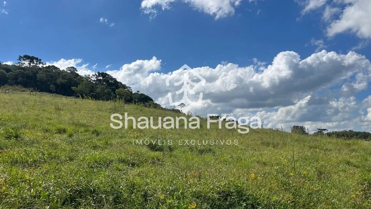 SITIO RURAL em RANCHO QUEIMADO - SC, INVERNADINHA - Foto 4