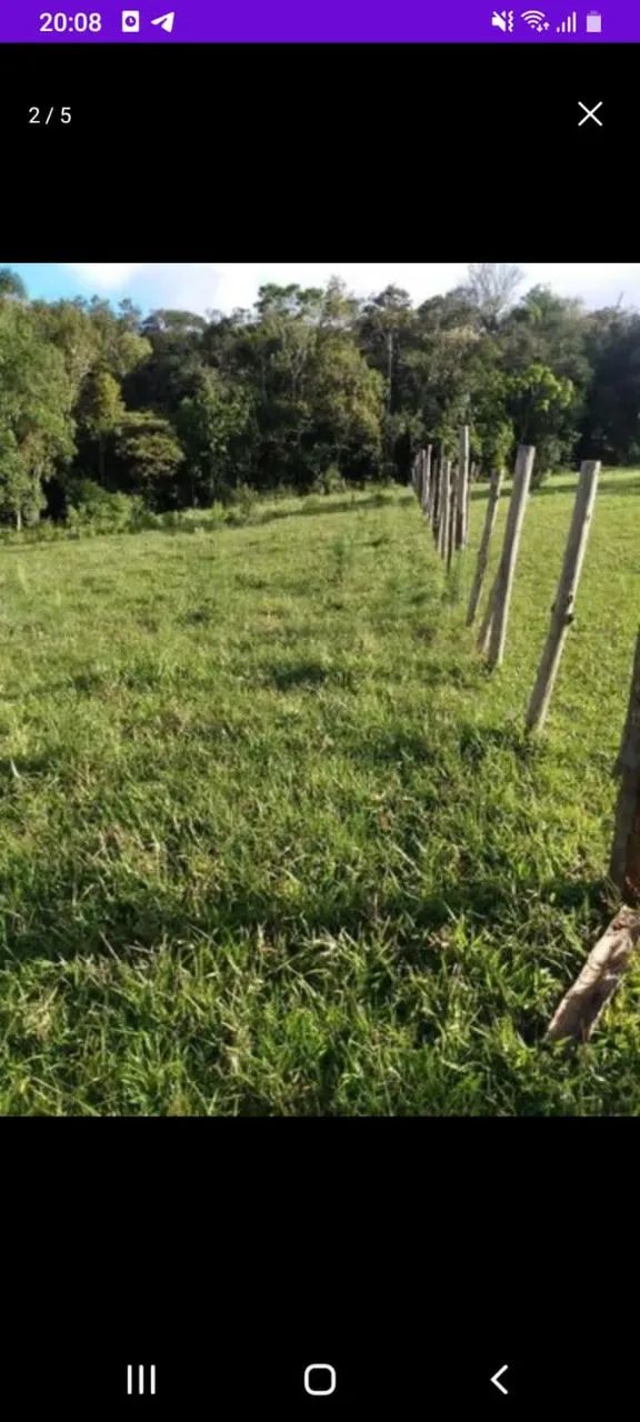 Terreno 3600 m2 - Foto 4