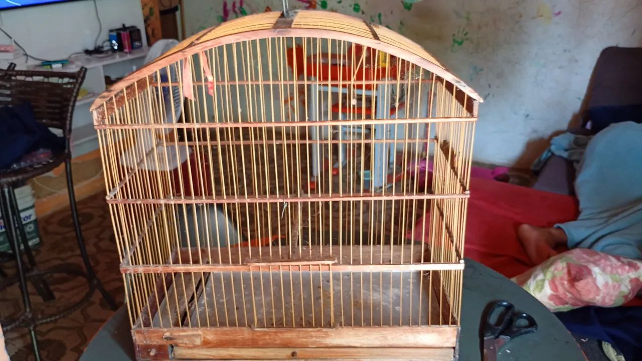 Gaiolas  - Foto 2