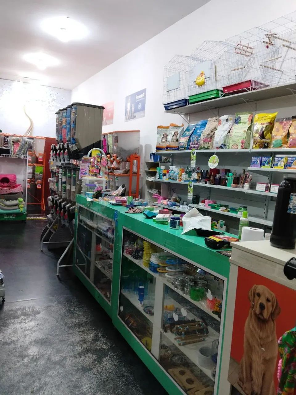 Loja Petshop 