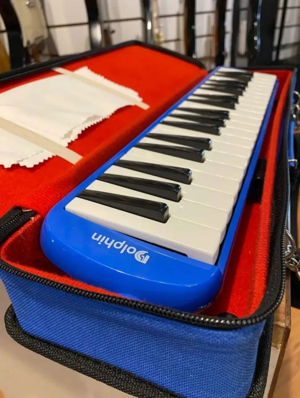 Escaleta dolphin 37 teclas com case.