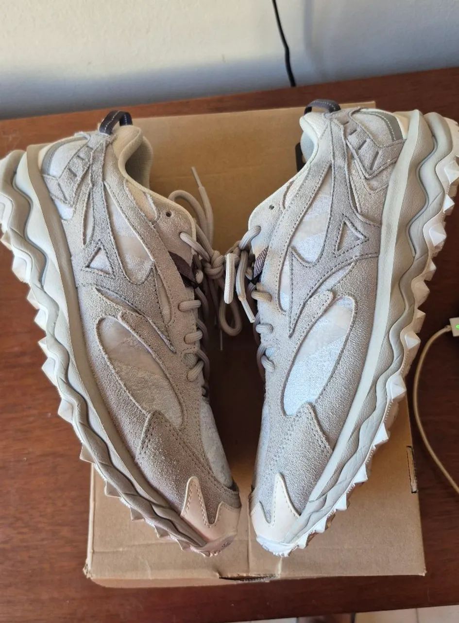 Mizuno Mujin 