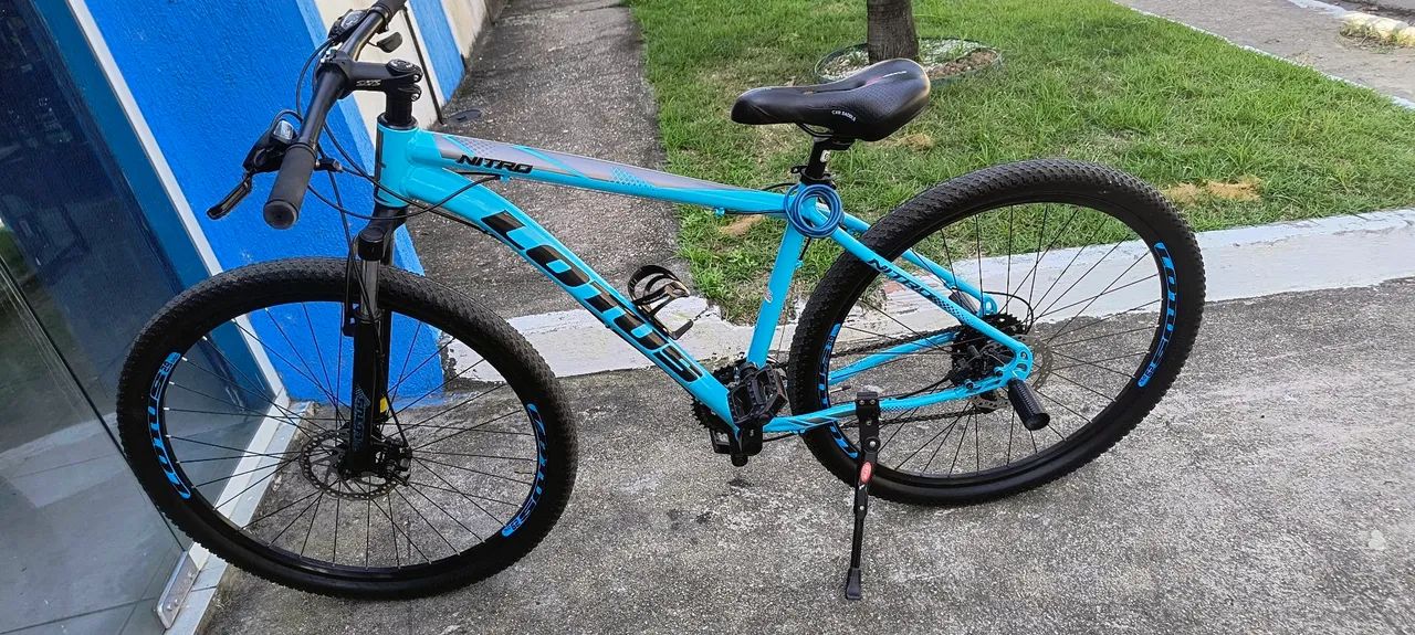 Bicicleta lotus aro29