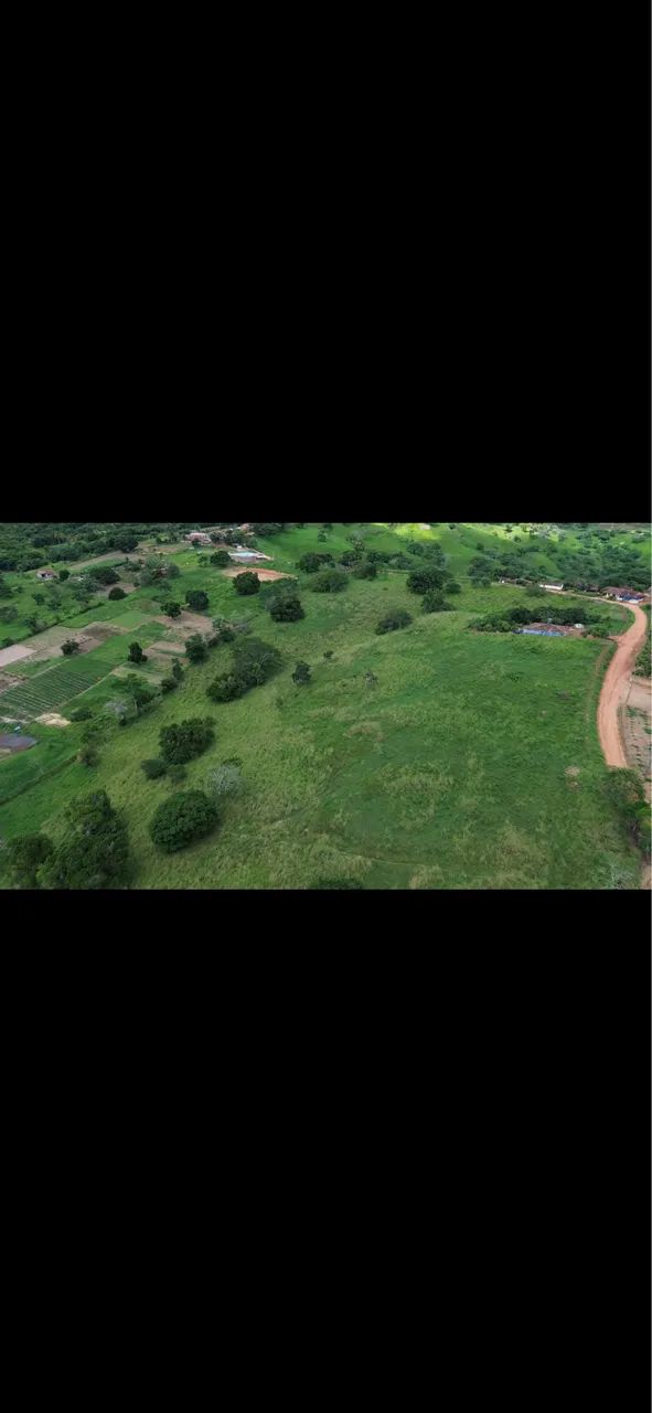 chácara 20x75 em Palmeira dos índios 1500m2  - Foto 2